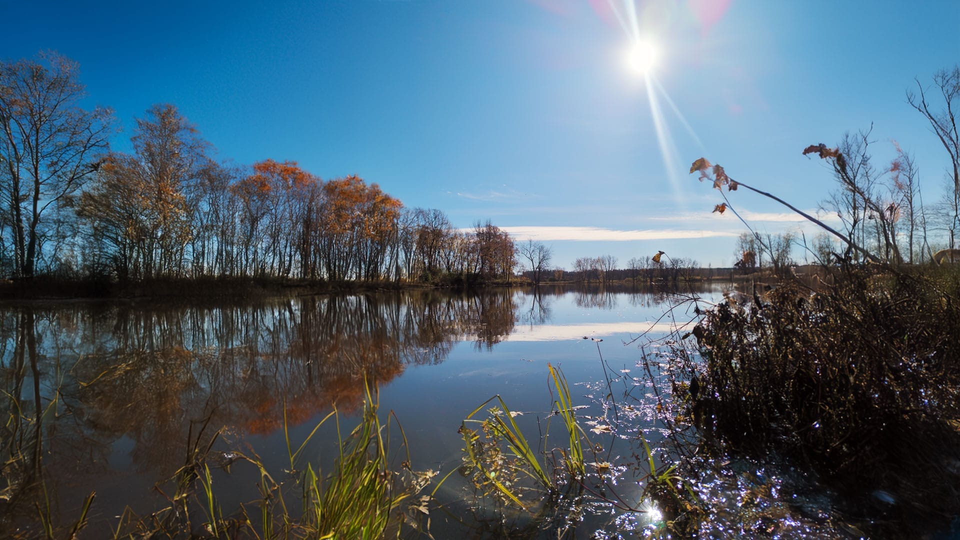 Photographier comme un Pro avec Ton Smartphone